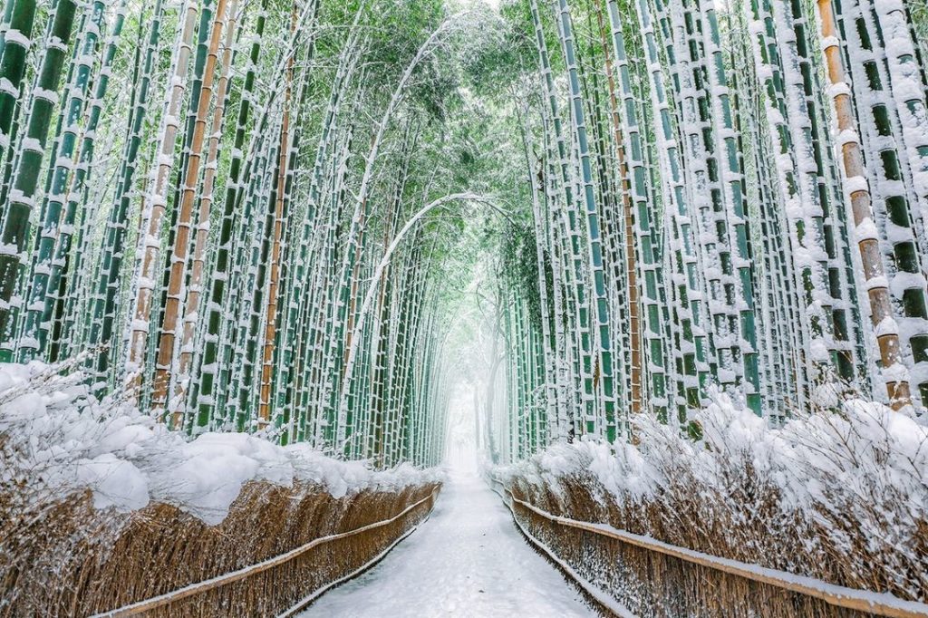 .
Walking along the delightful snow-covered bamboo path in Arashiyama, Kyoto.
#N...