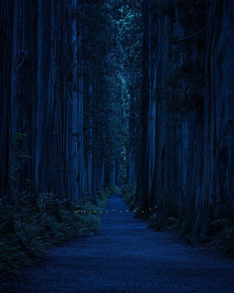 Located between the Nagano and Niigata Prefectures is the Myōkō-Togakushi Renzan...