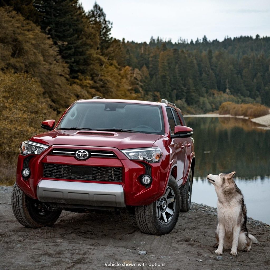 "You wanna go for a ride?" @loki #4Runner #TRD Off-Road #LetsGoPlaces...