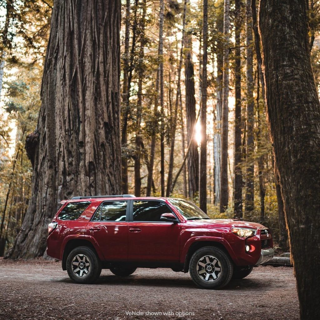 Standing tall amongst fellow icons.  #4Runner #TRD Off-Road #LetsGoPlaces...