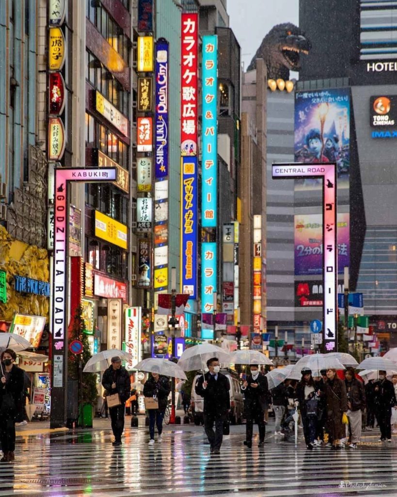 Tokyo - it's a city of surprises! 
: @photosbydamien
-----⁣⠀
Shinjuku, #Tokyo
.⁣...