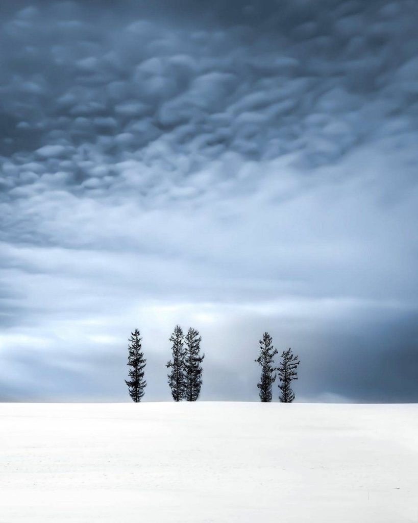 The winter scenery in Biei, Hokkaido, is the ultimate definition of 'less is mor...