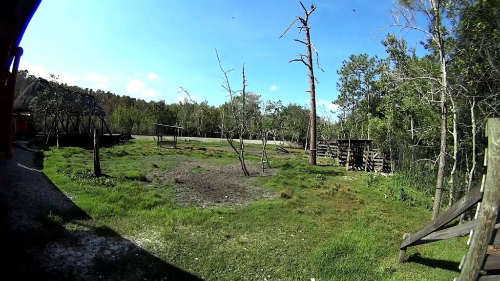 Personal train tour at Gatorland