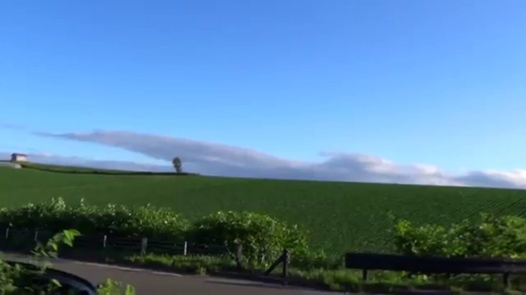 晴れた日の美瑛の丘「拓真館周辺」。Traveling to Japan discovery."Hill of　Biei-3"