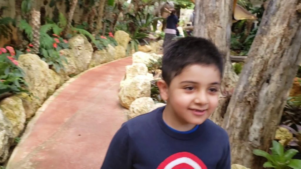 Ayaan goes to Nago Pineapple Park and he finds something there he loves !!!!