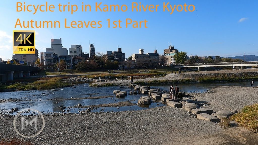 【4K】 Bicycle trip in Kamo River Kyoto Autumn Leaves 1st Part 京都市 【4K】 Bicycle trip in Kamo River Kyoto Autumn Leaves 1st Part 京都市