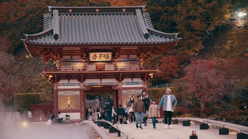 📷오사카여행｜🍁단풍이 🎬영화처럼 우수수 떨어지는곳 다녀왔습니다🍂｜카츠오지­｜🔥영상미 미침 영상미 보장🔥