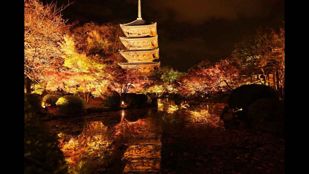 JG☆☆☆☆☆8K HDR 京都 東寺の幻想的な紅葉ライトアップ(世界遺産) Kyoto, Toji(World Heritage) Autumn Evening Mirage