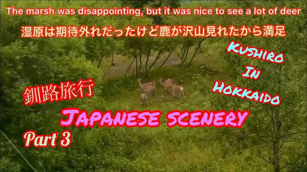 Kushiro in Hokkaido trip part 3.想像と違った釧路湿原を見て!部屋でひたすら食べて!念願の野付半島へ!!釧路旅行その3! Kushiro in Hokkaido trip part 3.想像と違った釧路湿原を見て!部屋でひたすら食べて!念願の野付半島へ!!釧路旅行その3!