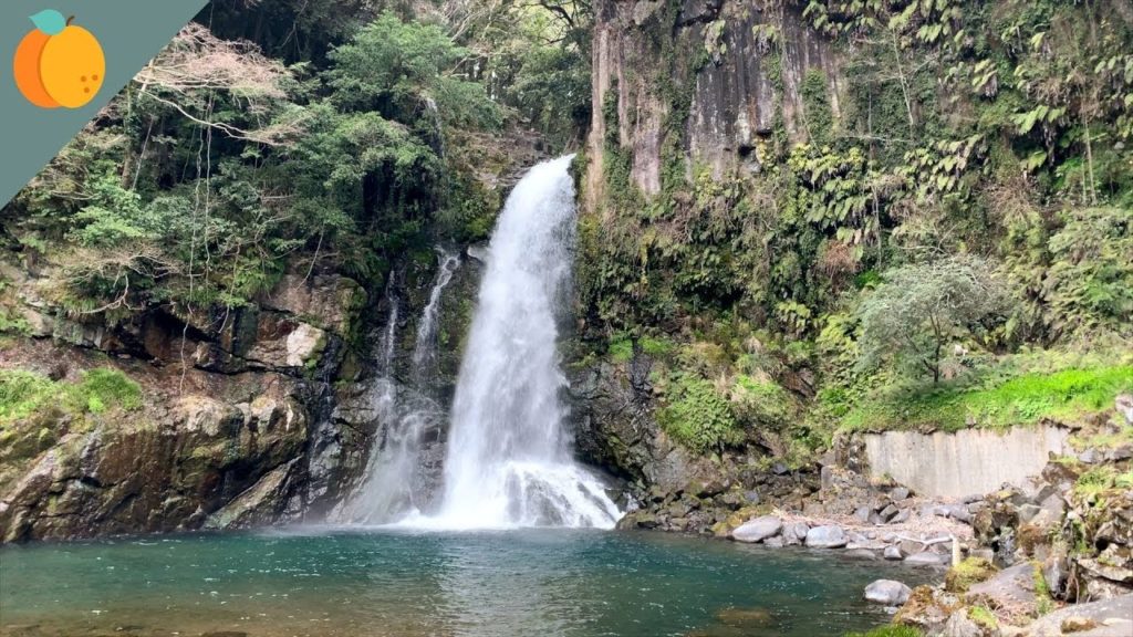 Ein Tag in der Natur von Shizuoka ~ Tag 14