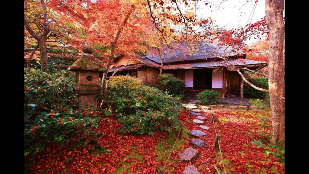 JG☆☆☆8K HDR 京都 大河内山荘の紅葉 名優の別荘をゆっくり味わう Kyoto, Okochisanso in Autumn, Actor's Villa with Arts