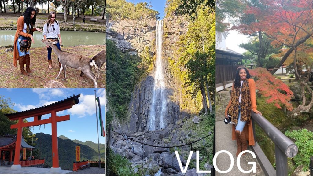 Vlog-28: Road Trip in Japan! Nara City, Nachi Falls, & Himeje (tallest waterfall!!) Vlog-28: Road Trip in Japan! Nara City, Nachi Falls, & Himeje (tallest waterfall!!)