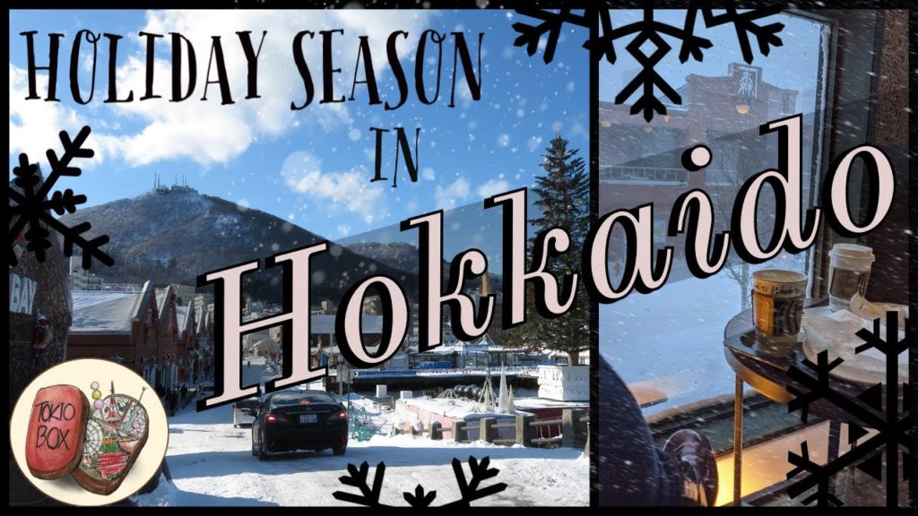 WINTER in Japan: sNOw stopping me going to Hakodate!