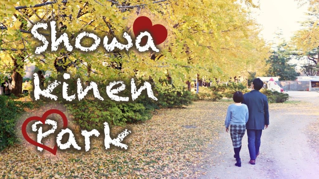 [4K] Love in Showa Kinen Park (Japan)| Cinematic Vlog shot on Sony ZV1 & Iphone 11 Pro #010