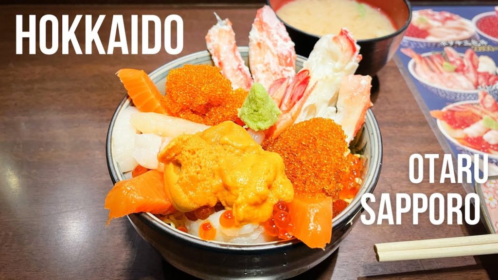 Traveling Hokkaido: Sapporo, Otaru, lots of snow and delicious food | Japan Vlog Traveling Hokkaido: Sapporo, Otaru, lots of snow and delicious food | Japan Vlog