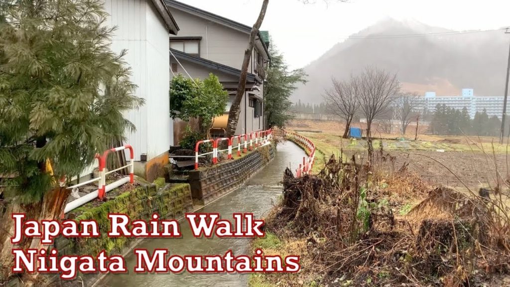Japan Mountain Rain Walk Niigata 2019.12.27 ASMR Ambient Sound Sleep Relax Meditate Peace Zen Chill Japan Mountain Rain Walk Niigata 2019.12.27 ASMR Ambient Sound Sleep Relax Meditate Peace Zen Chill