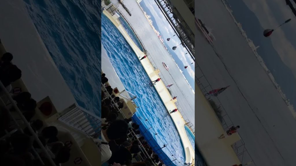 HIGASHI-KU,FUKUOKA-SHI.JAPANESE.