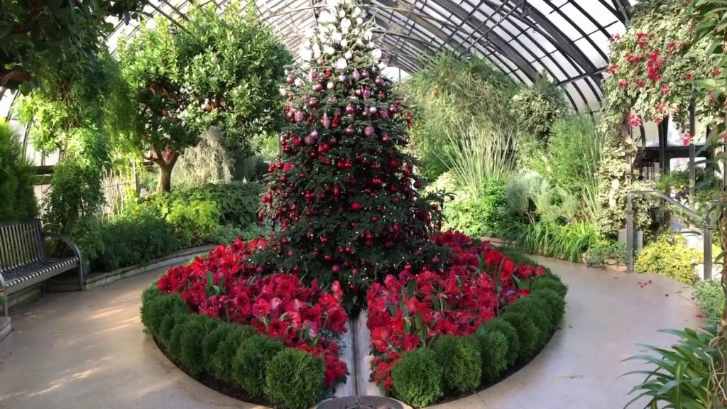 Inside Tour or A Longwood Christmas: Mediterranean House Ombré Tree with Kat McCullough