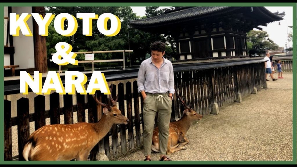 What can you do in Kyoto and Nara in 1 Day?