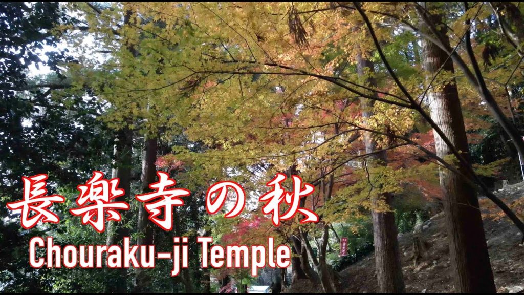 【ドローン4K空撮:MAVIC AIR2】長楽寺の秋 Chouraku-ji Temple 【ドローン4K空撮:MAVIC AIR2】長楽寺の秋 Chouraku-ji Temple