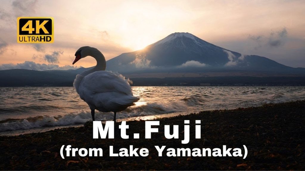 (4K) 紅富士 @ 山中湖 (逆さ富士 / 白鳥) Mt. Fuji from Lake Yamanaka (upside-down Fuji / Swan) (4K) 紅富士 @ 山中湖 (逆さ富士 / 白鳥) Mt. Fuji from Lake Yamanaka (upside-down Fuji / Swan)