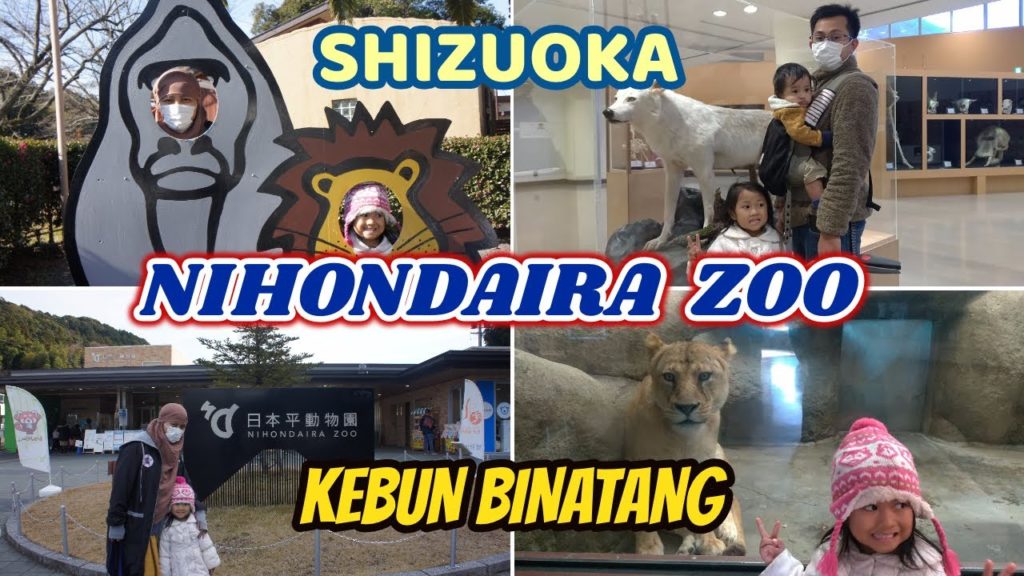 ADA PANDA MERAH DI KEBUN BINATANG NIHONDAIRA DI SHIZUOKA | TRAVEL VLOG