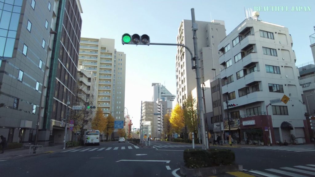 【Beautiful Japan】Drive in Tokyo 【Beautiful Japan】Drive in Tokyo