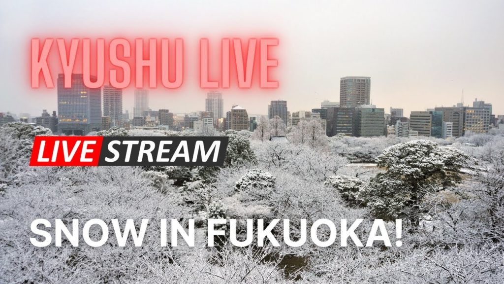 Kyushu Live - Snow in Fukuoka!