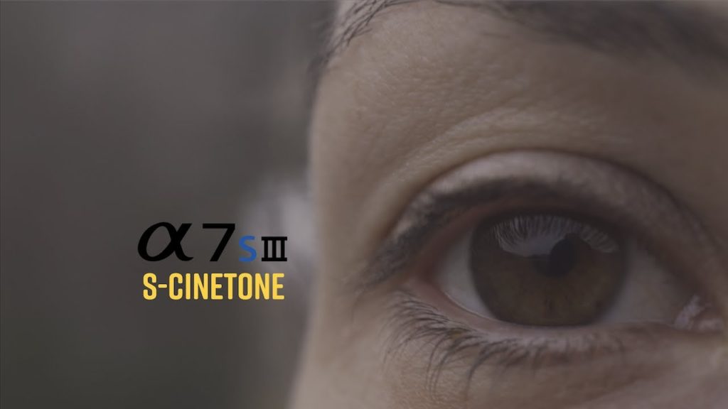 Sony a7SIII S-Cinetone Match Sony a7SIII S-Cinetone Match