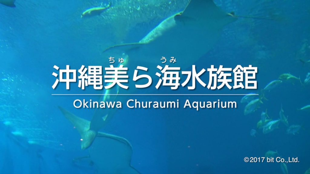 Okinawa Churaumi Aquarium
