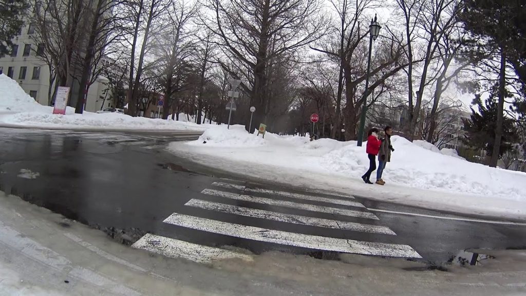 JAPAN Hokkaido, Sapporo Hokkaido University