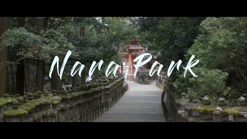 Nara Park|Japan Cinematic Travel Video 【4K】 Nara Park|Japan Cinematic Travel Video 【4K】