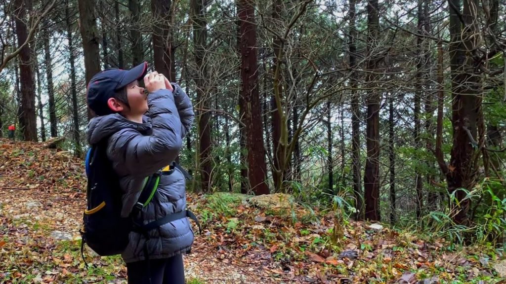 Hiking with a Disposable Travel Camera in Fukuoka, Japan