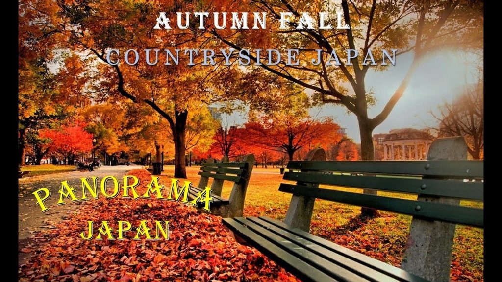 Autumn Fall Japan, Fall Foliage in Countryside Park Japan ,4K Relax Video| Panorama Japan Autumn Fall Japan, Fall Foliage in Countryside Park Japan ,4K Relax Video| Panorama Japan