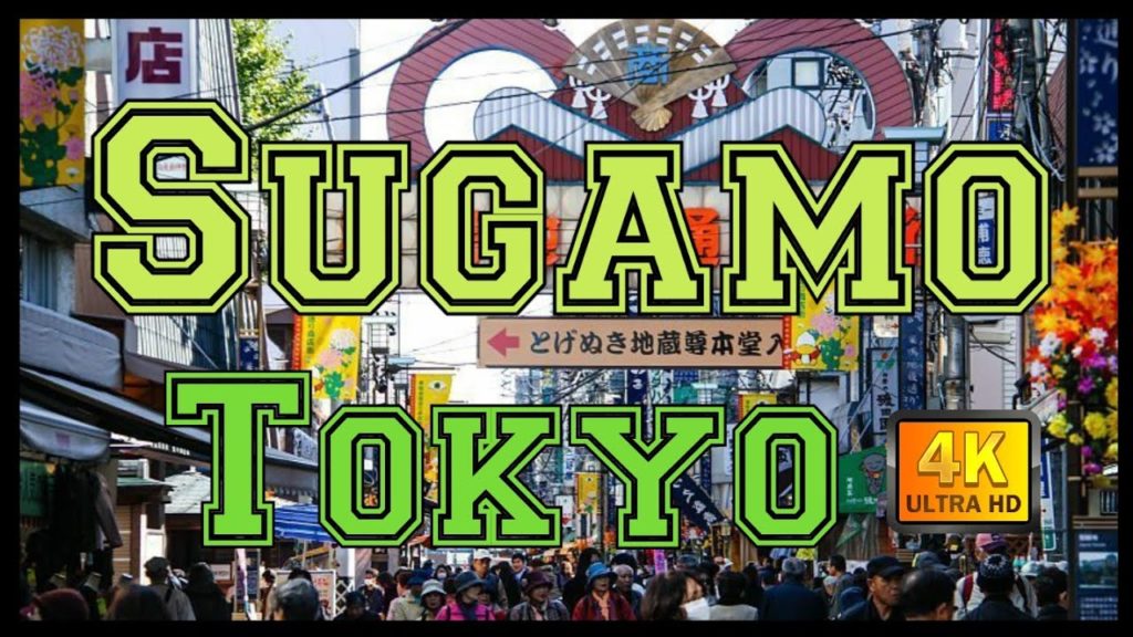 【4K】Japan Walk - Tokyo ,Sugamo 巣鴨 , January 2021,#Japan #Tokyo #Sugamo# 巣鴨