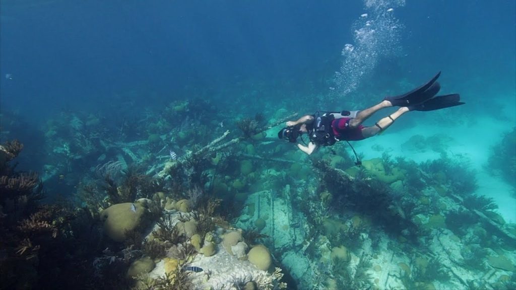 The Best Bits: North America