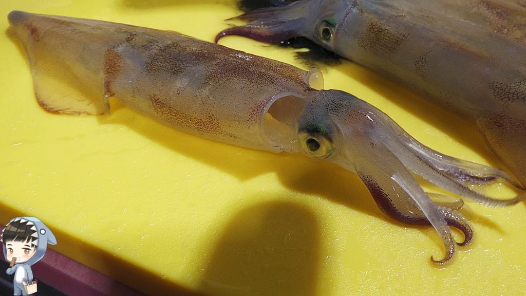 KOREAN STREET FOOD SQUID HOE SASHIMI KOREA SEAFOOD MARKET 포항 송도활어회센터 한치회 090120