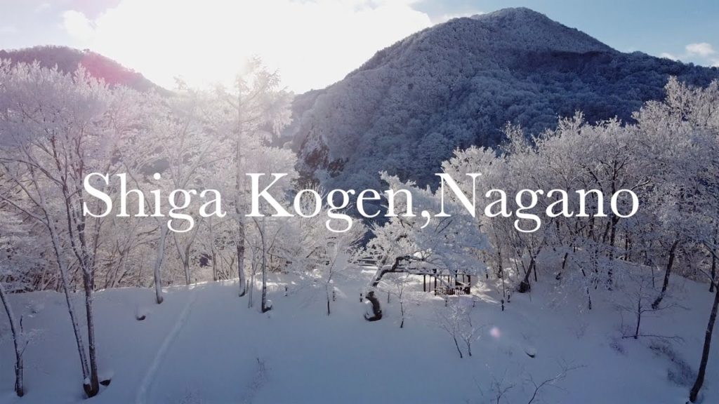 Shiga Kogen,Nagano,Yamanouchi-machi,snow resort | DJI mavic MINI |iphone11