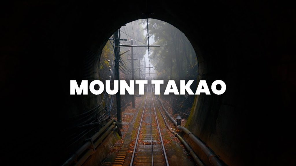 Autumn Leaves At Mt Takao | Solo Hiking In Japan Autumn Leaves At Mt Takao | Solo Hiking In Japan