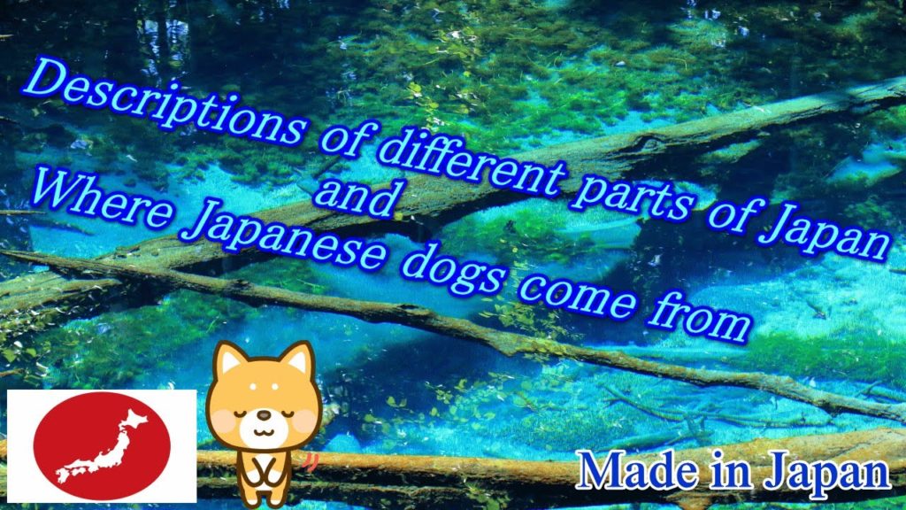 JAPAN There is also an explanation of the journey around Japan and Japanese dogs.