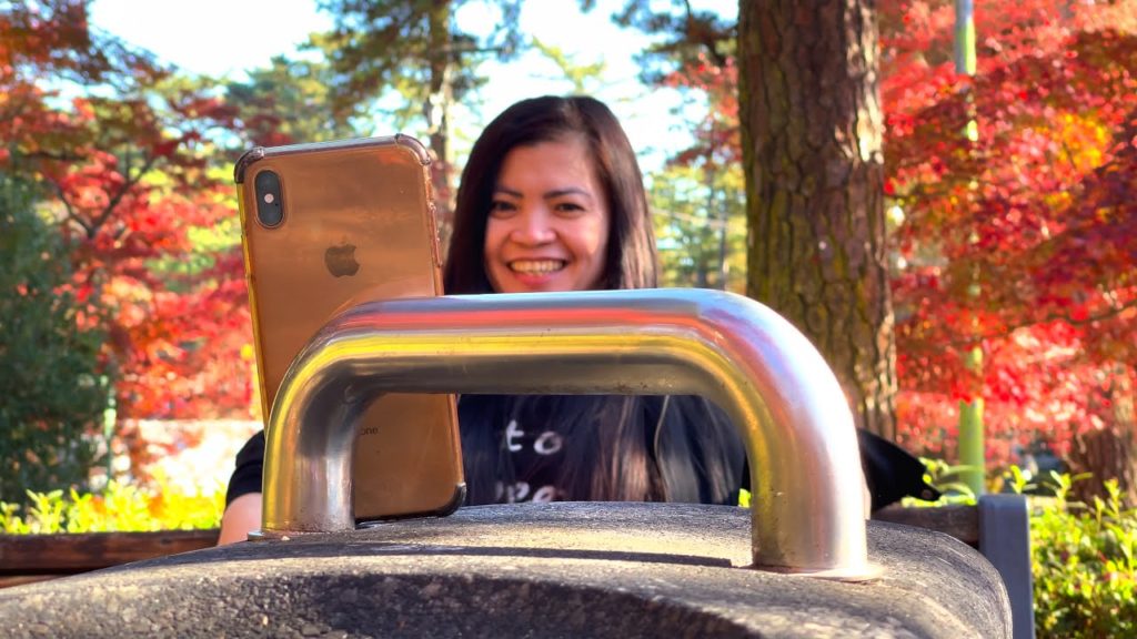 JAPAN Side Trip 2020-12-05 | Afternoon Autumn Sightseeing at Okazaki City Higashi Park JAPAN Side Trip 2020-12-05 | Afternoon Autumn Sightseeing at Okazaki City Higashi Park