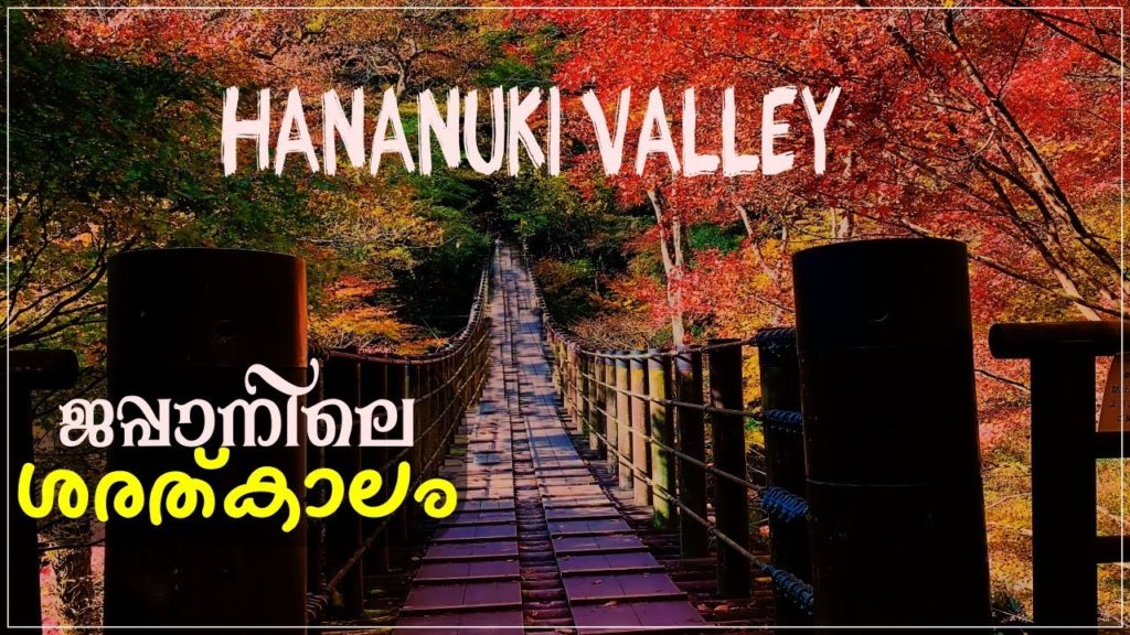 Hananuki Valley, Autumn Leaves, Ibaraki, Japan Travel Vlog Malayalam