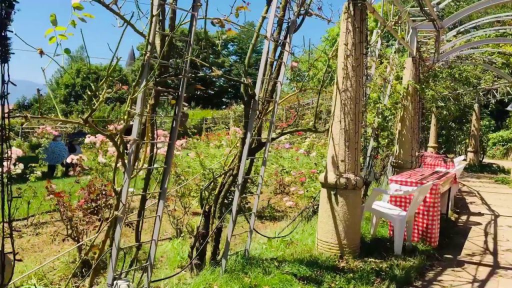 Crickets sound # Insect # Heidi’s village # Japan Crickets sound # Insect # Heidi’s village # Japan