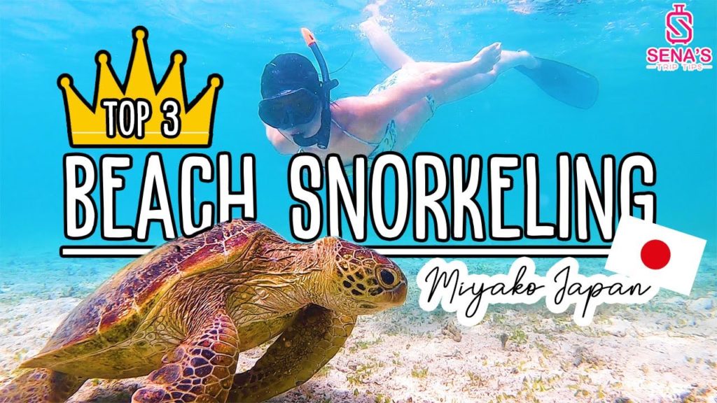 Miyako Islands' Best Snorkeling Beaches-Okinawa, Japan Vlog|宮古島でシュノーケリングするなら最高のビーチトップ3! Miyako Islands' Best Snorkeling Beaches-Okinawa, Japan Vlog|宮古島でシュノーケリングするなら最高のビーチトップ3!