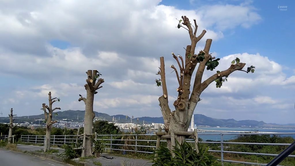 記憶の記録　街中散策Okinawa　うるま市石川～うるま市東恩納～Jan. 14, 2021【travel】