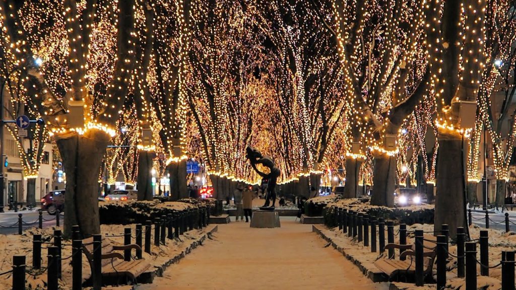 SENDAI Pageant of Starlight 2020-2021 || 2020SENDAI光のページェント