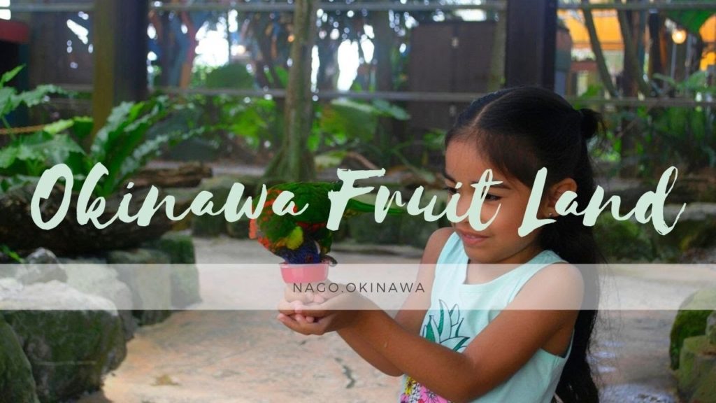 Okinawa Fruit Land