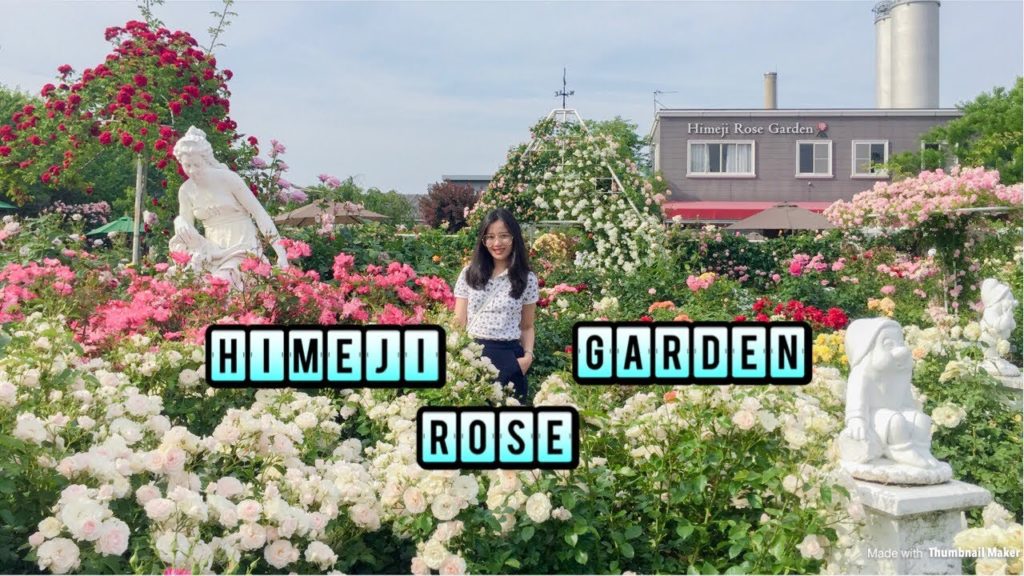 Rose Garden (Himeji-Shi, Japan) | Eriza Marie