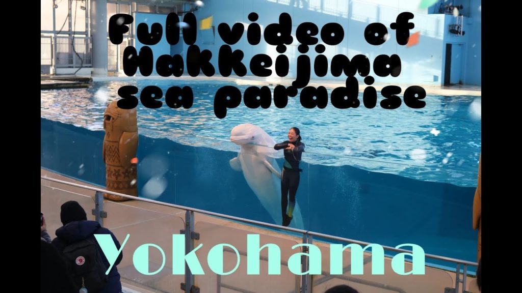 Hakkeijima Sea Paradise Full video with information|One day trip to Hakkeijima|#hakkeijima #yokohoma Hakkeijima Sea Paradise Full video with information|One day trip to Hakkeijima|#hakkeijima #yokohoma