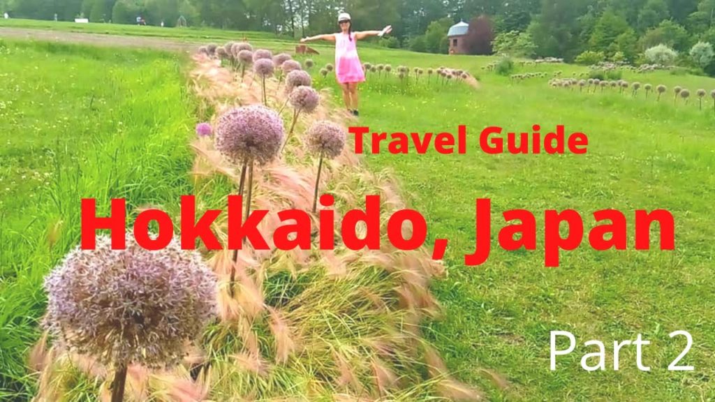 10+ Interesting Places/Things in Sapporo, Hokkaido, Japan (part2/4)